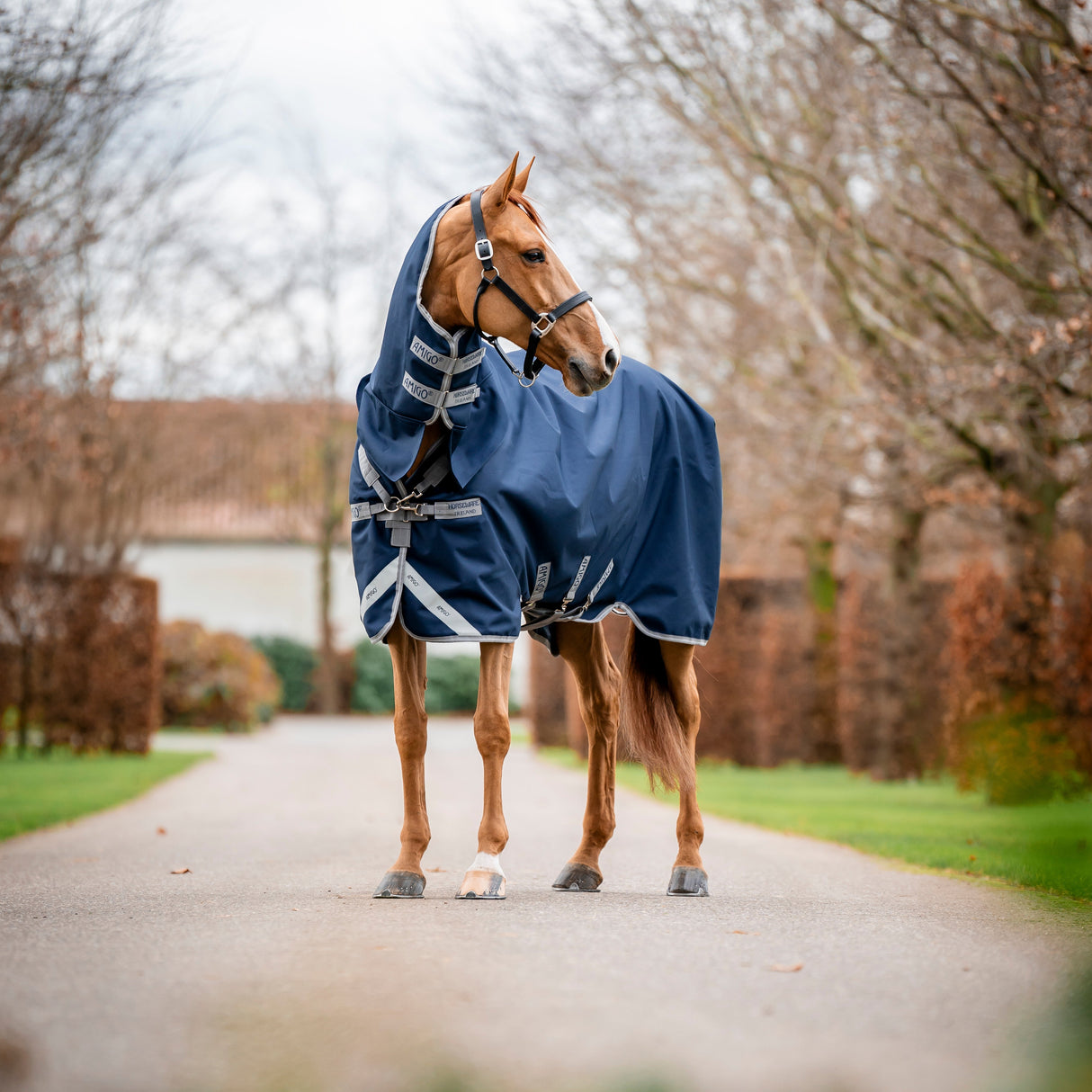 Horseware Ireland Amigo 1200D Integrated 50g Turnout Rug #colours_navy-titanium-grey-silver