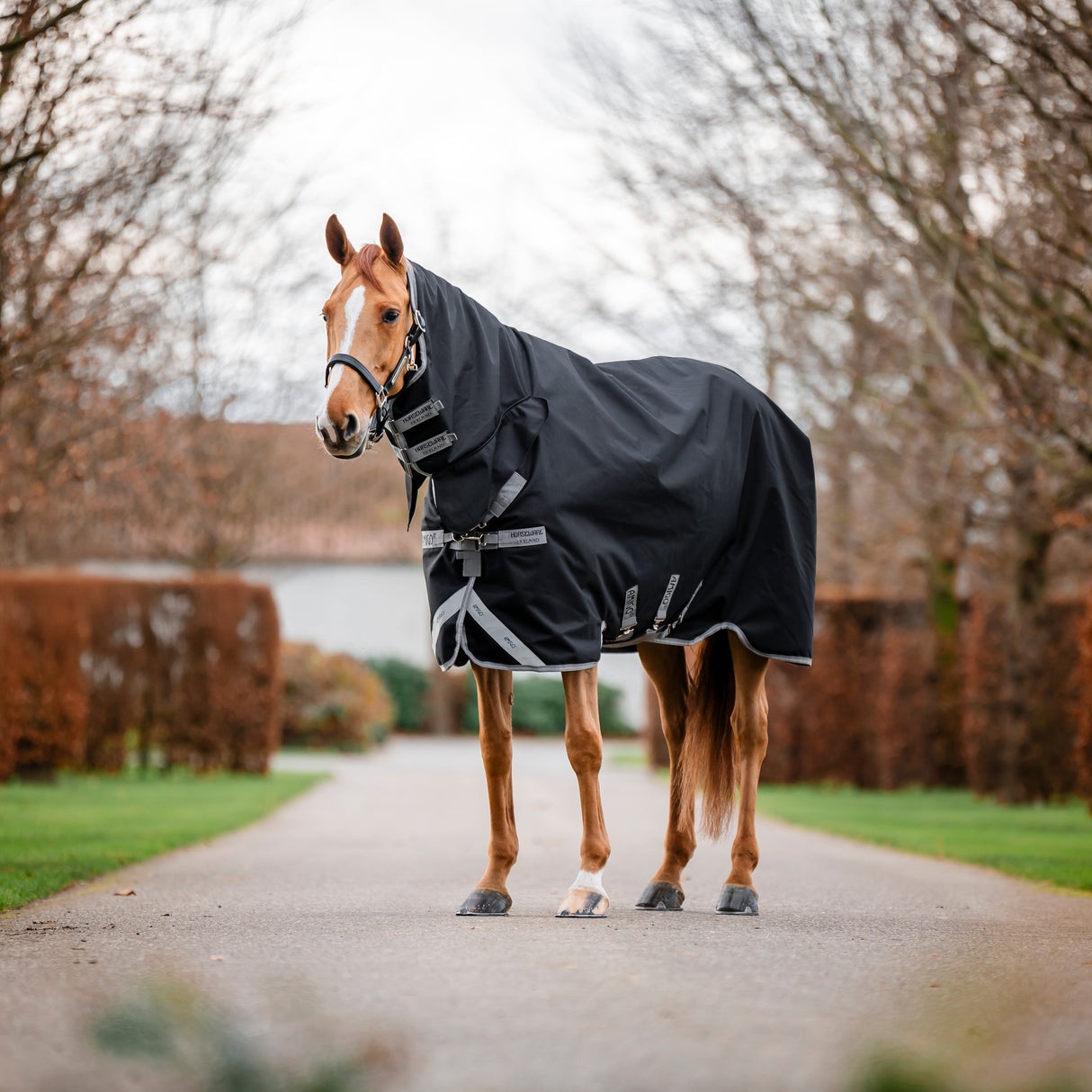 Horseware Ireland Amigo 1200D Integrated 0g Turnout Rug #colour_black-titanium-grey-silver