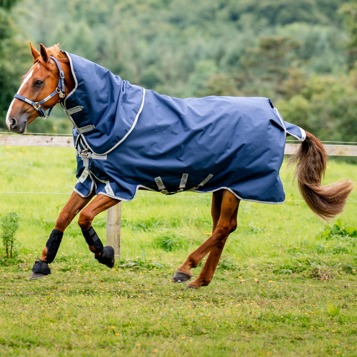 Horseware Ireland Amigo 1200D Plus 50g Turnout Rug #colour_navy-titanium-grey-silver