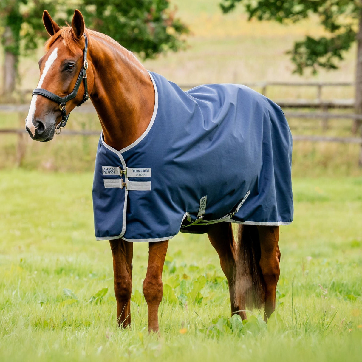 Horseware Ireland Amigo Ripstop 900D 200g Turnout Rug #colour_navy-titanium-grey