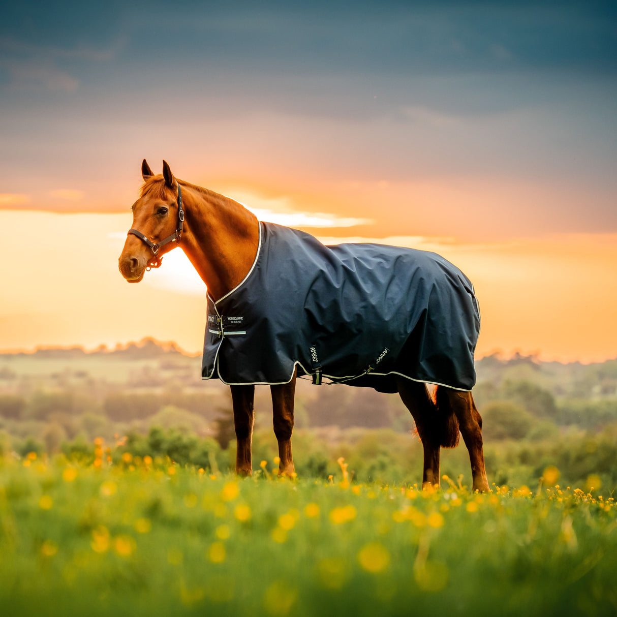 Horseware Ireland Amigo Ripstop 900 0g Turnout Rug #colour_witney-navy
