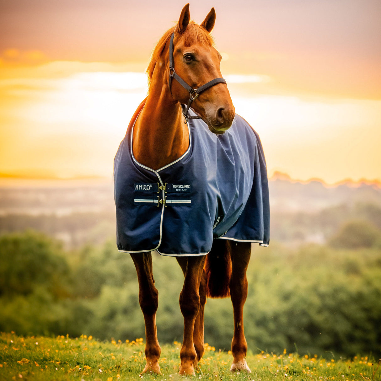 Horseware Ireland Amigo Ripstop 900D 200g Turnout Rug #colour_black-witney-navy