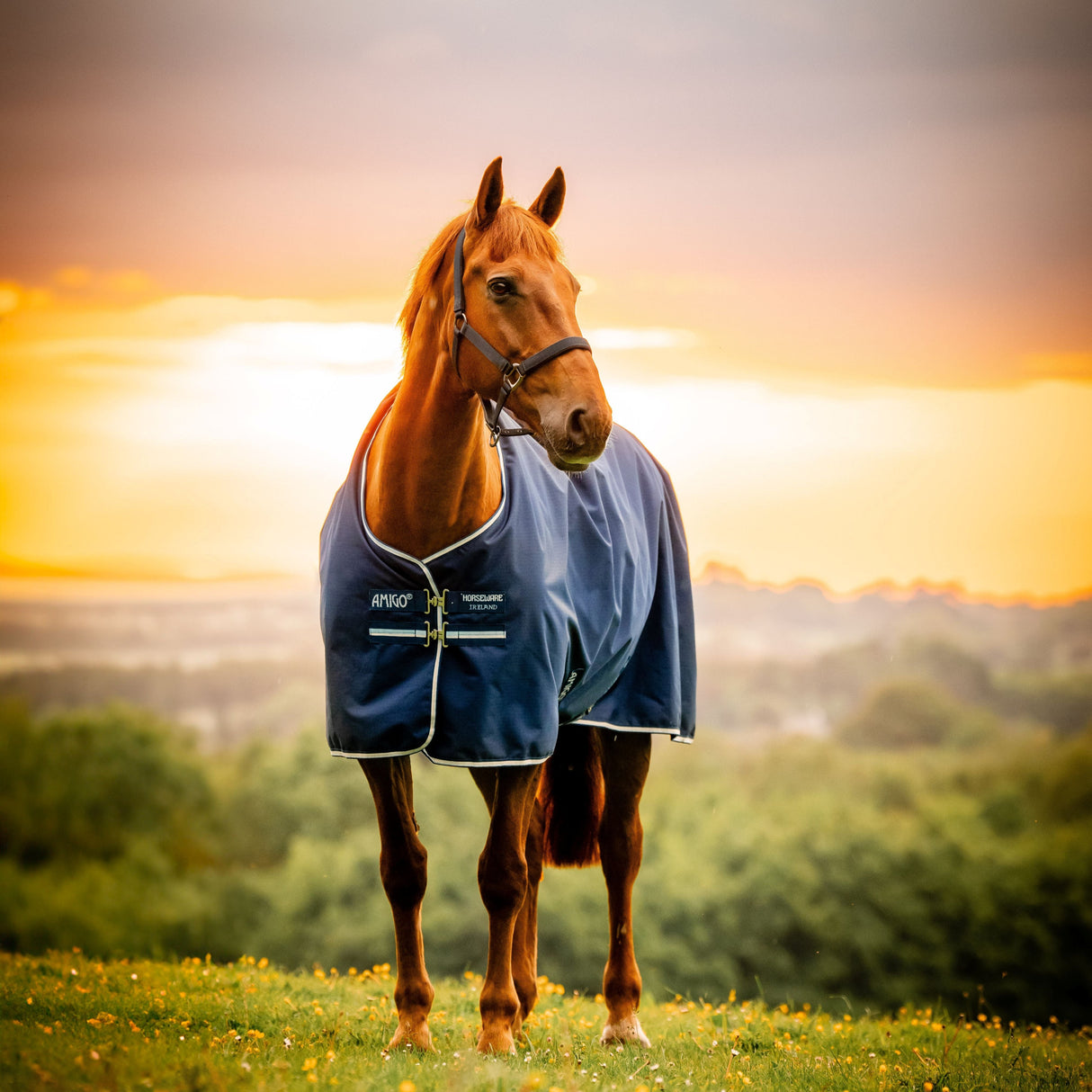 Horseware Ireland Amigo Ripstop 900D 0g Turnout Rug #colour_witney-navy
