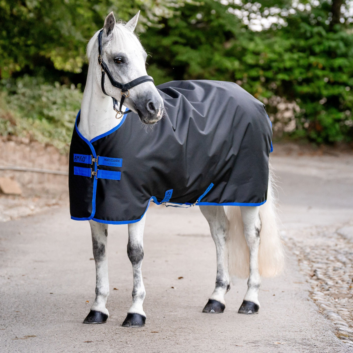 Horseware Ireland Amigo Ripstop 900D Pony 0g Turnout Rug #colour_black-classic-blue
