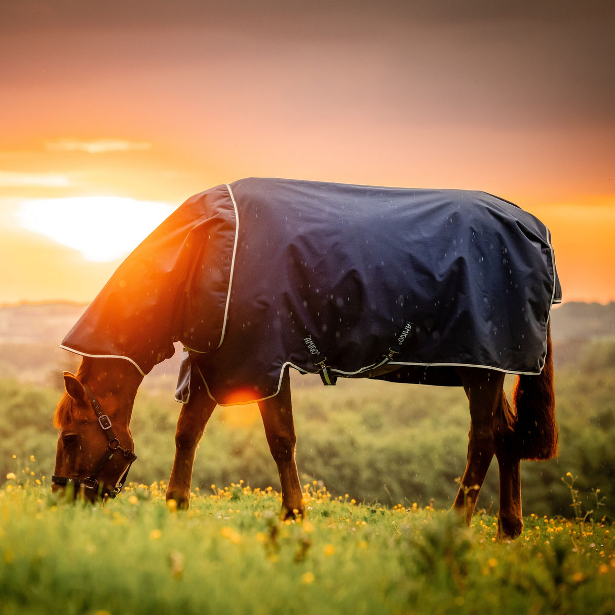 Horseware Ireland Amigo Ripstop 900 Plus 200g #colour_witney-navy