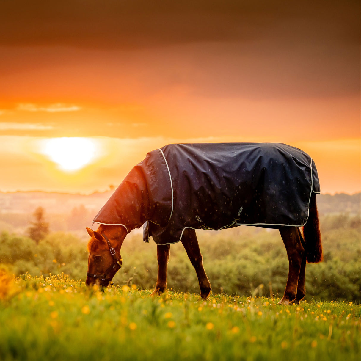 Horseware Ireland Amigo Ripstop 900 Plus 200g #colour_witney-navy