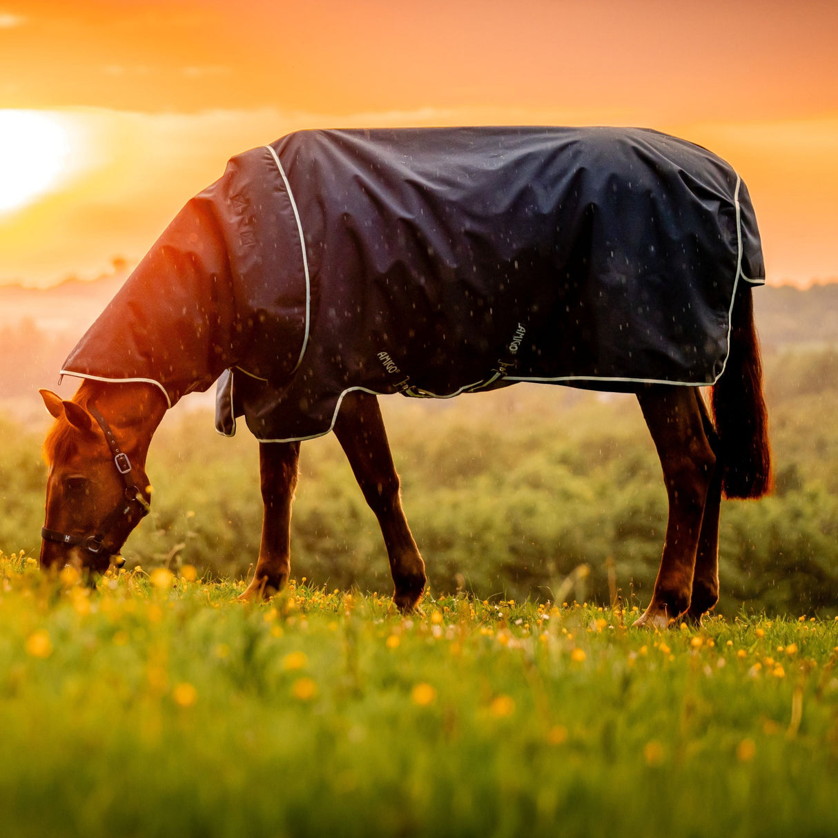 Horseware Ireland Amigo Ripstop 900D Plus 100g Pony Turnout Rug #colour_witney-navy