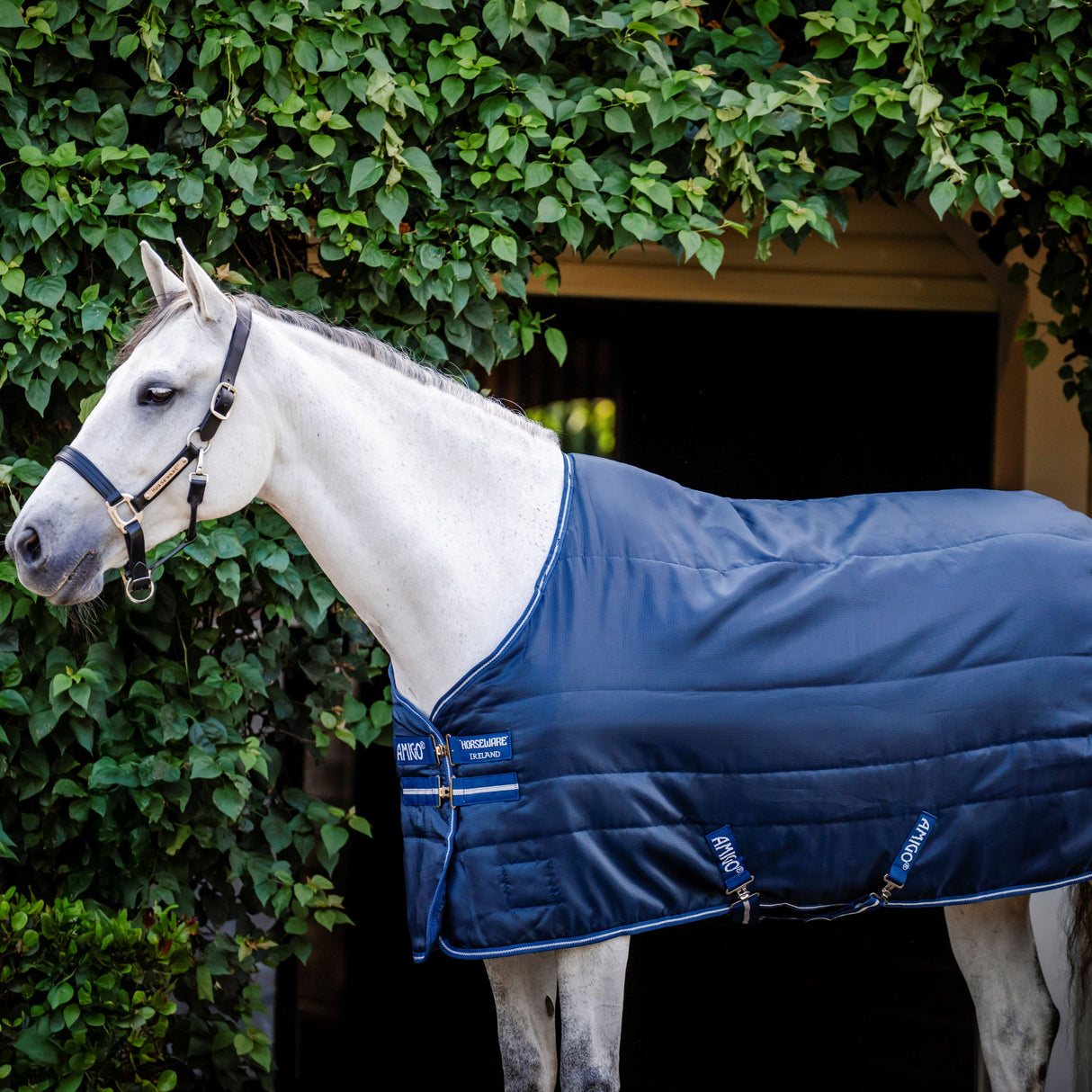 Horseware Ireland Amigo Ripstop Insulator 50g Stable Rug #colour_navy-titanium-grey