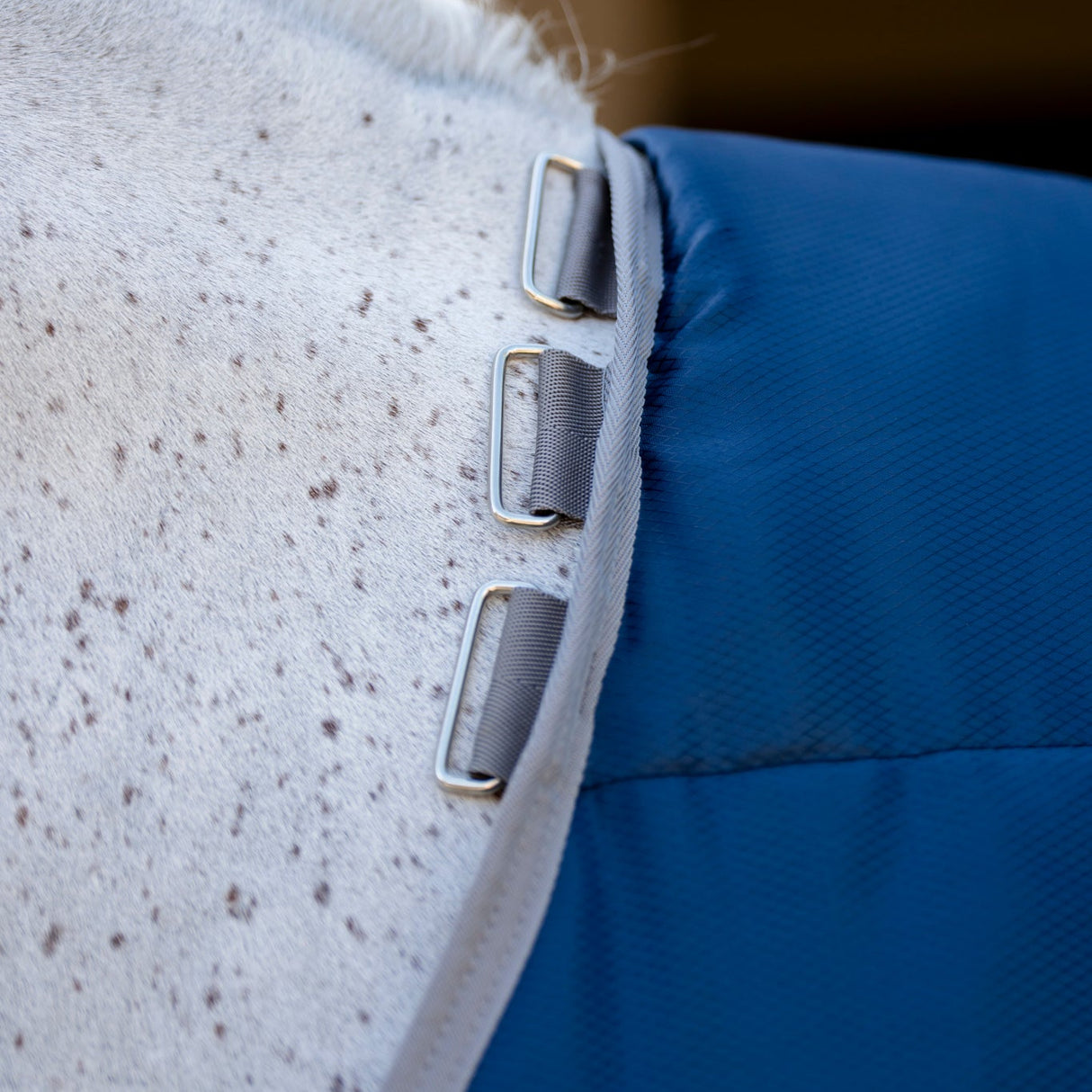 Horseware Ireland Amigo Ripstop Insulator 50g Stable Rug #colour_navy-titanium-grey