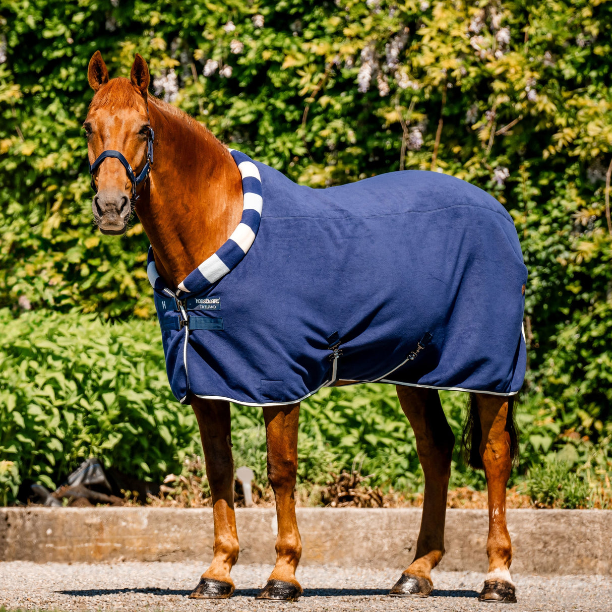 Horseware Ireland Newmarket Cosy Fleece Cooler #colour_witney-navy
