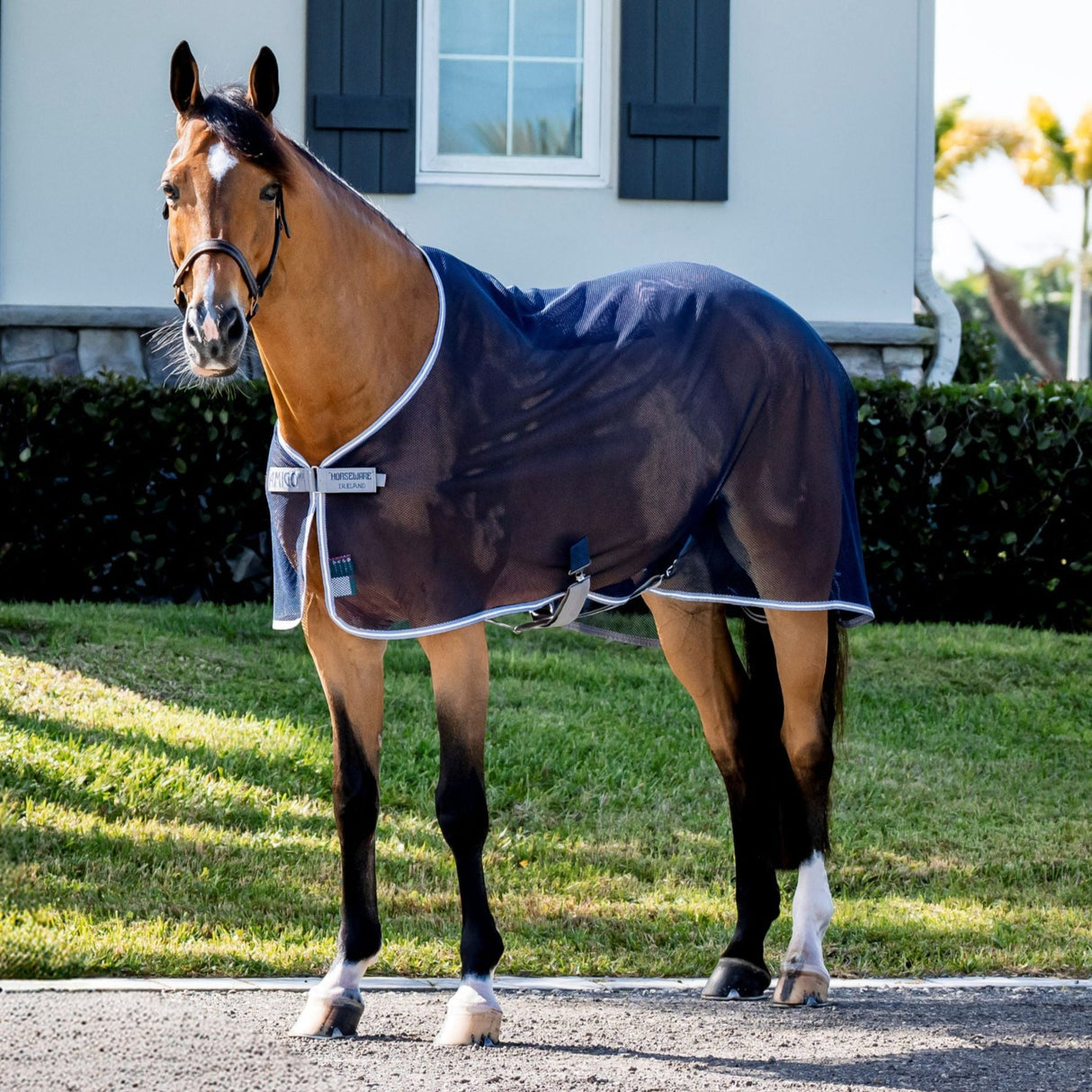 Horseware Ireland Amigo Net Cooler #colour_navy-titatium-grey-silver