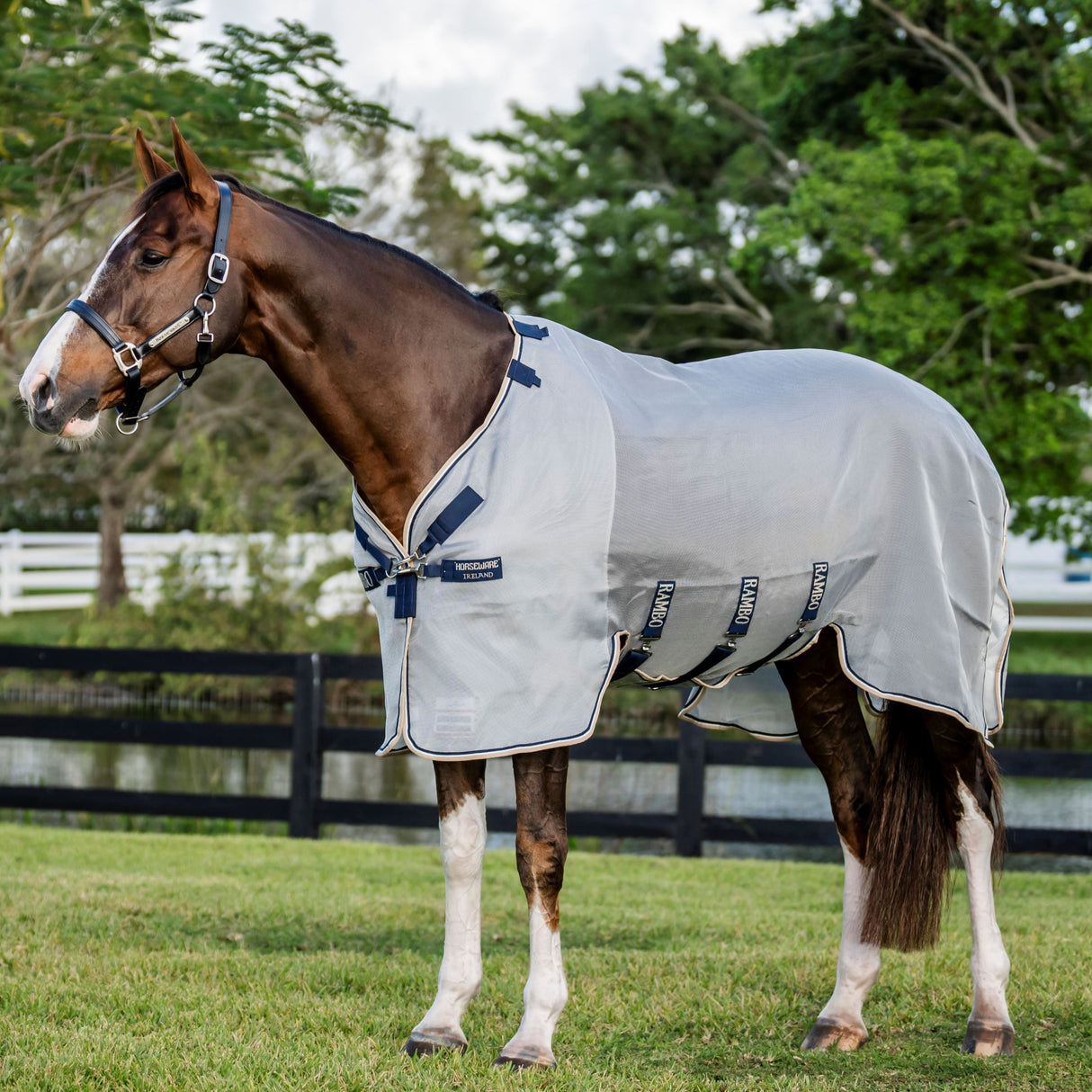 Horseware Ireland Rambo Protector #colour_silver-navy-white-biege