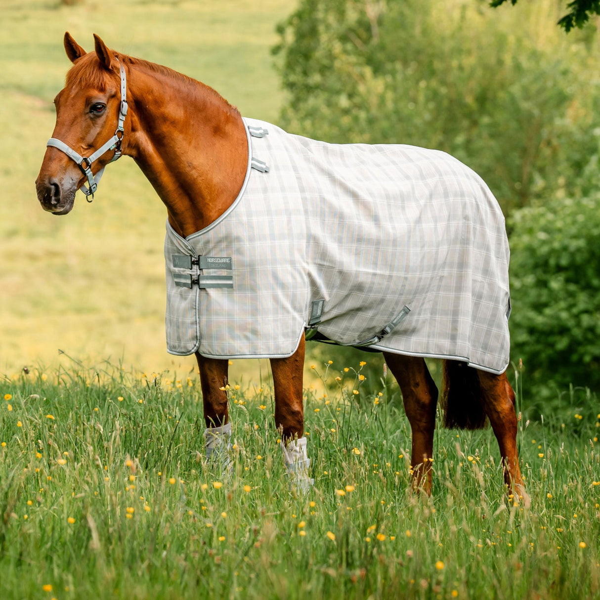 Horseware Ireland Newmarket Fly Sheet #colour_witney-charcoal
