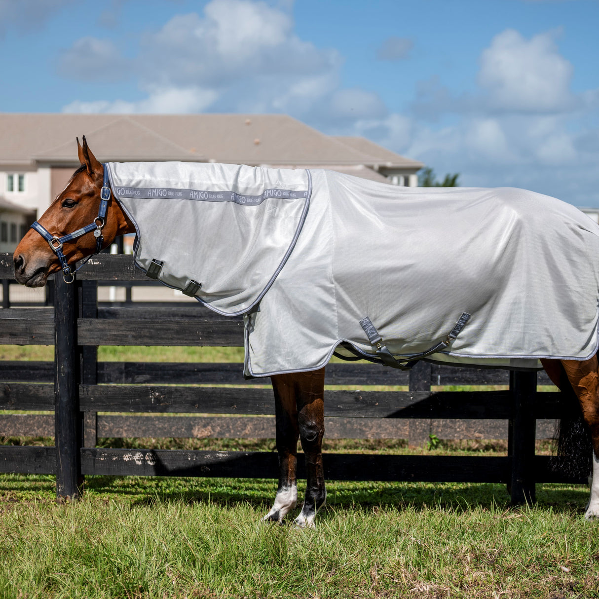 Horseware Ireland Amigo Bug Rug Plus #colour_silver-titanium-grey-silver