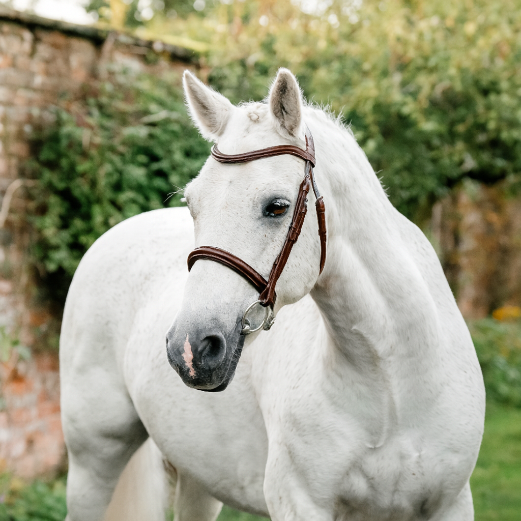 Horseware Ireland Pony Cavesson Bridle #colour_brown