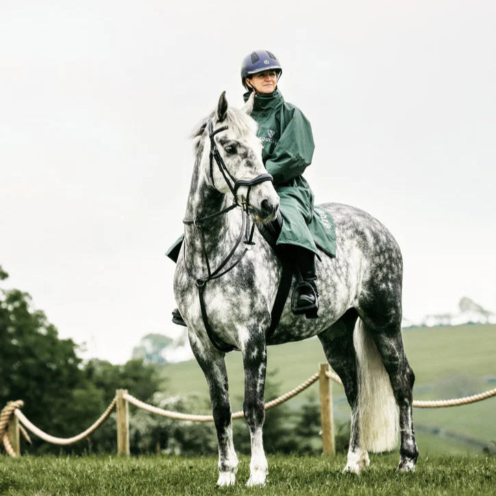 EQUIDRY Women's Mesh Lined Evolution #colour_black-forest-green-green