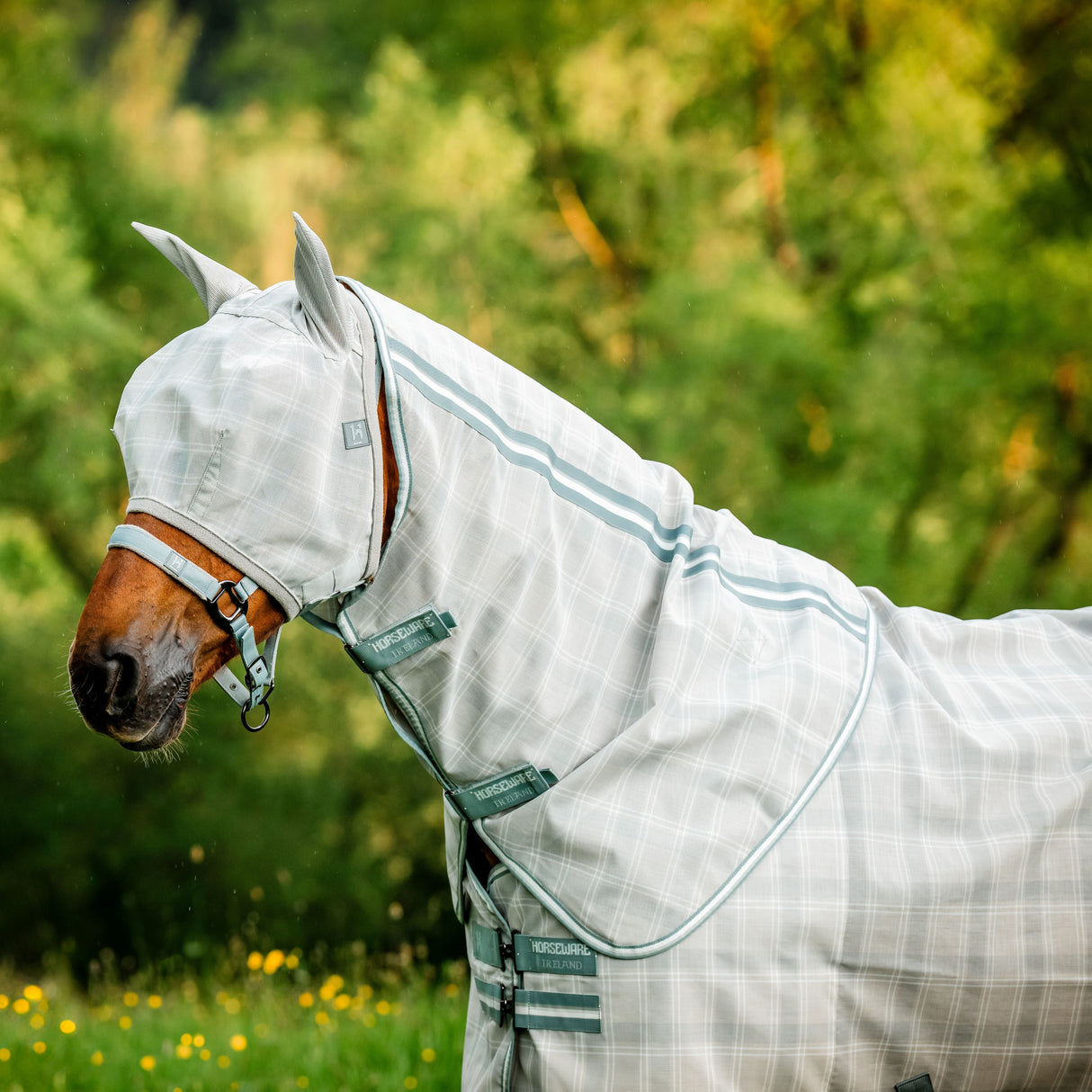 Horseware Ireland Newmarket Plus Fly Sheet #colour_witney-charcoal