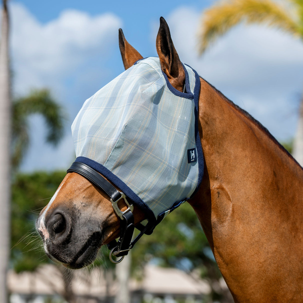 Horseware Ireland Newmarket No Ears Fly Mask #colour_witney-navy