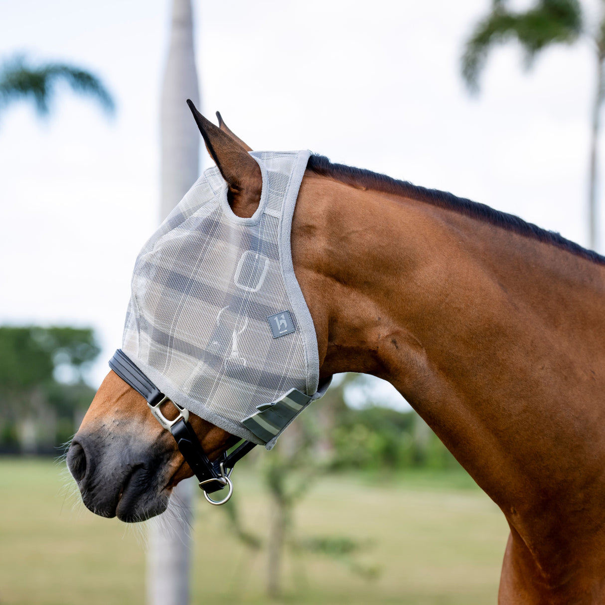 Horseware Ireland Newmarket No Ears Fly Mask #colour_witney-charcoal