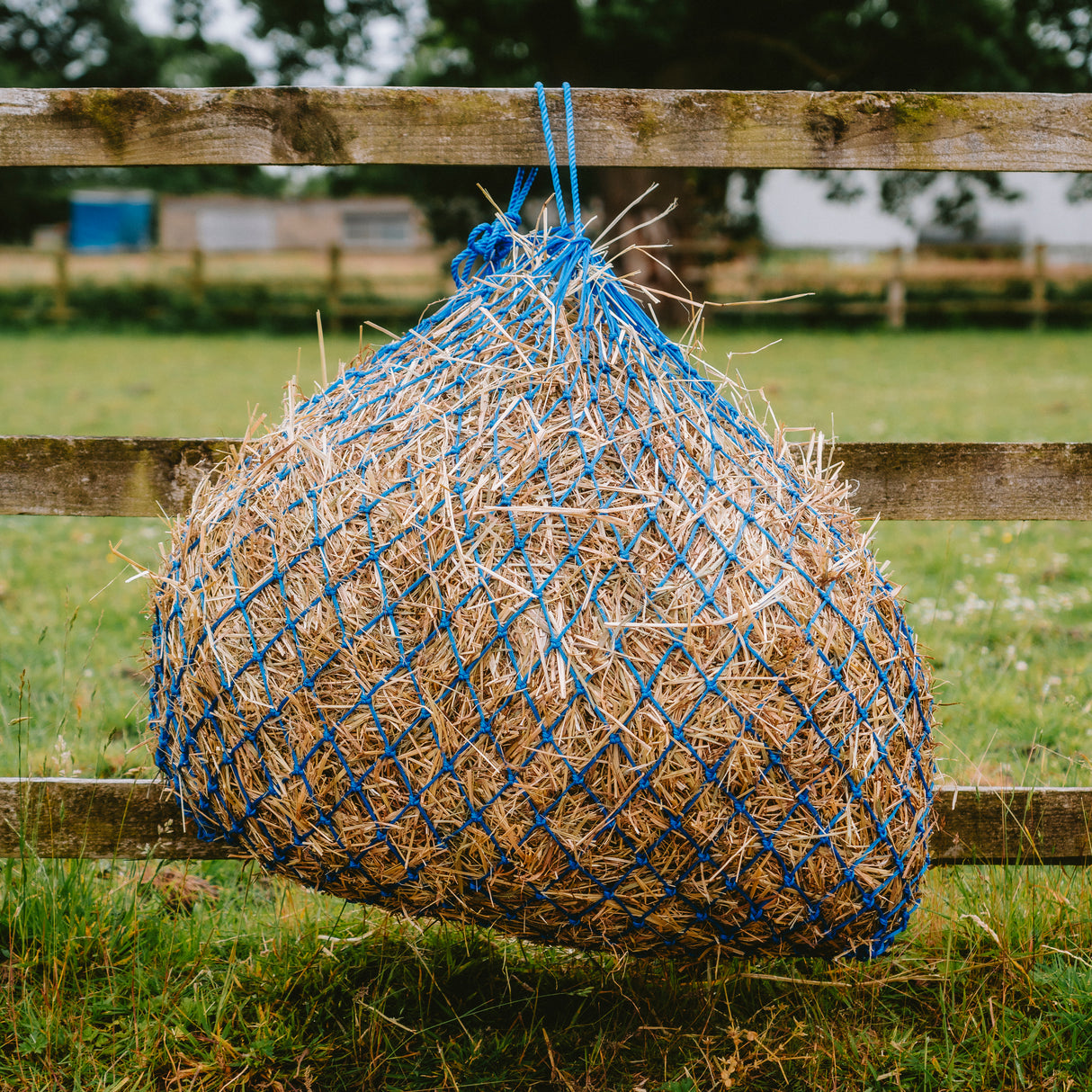 GS 승마 Haynet Deluxe 40 "