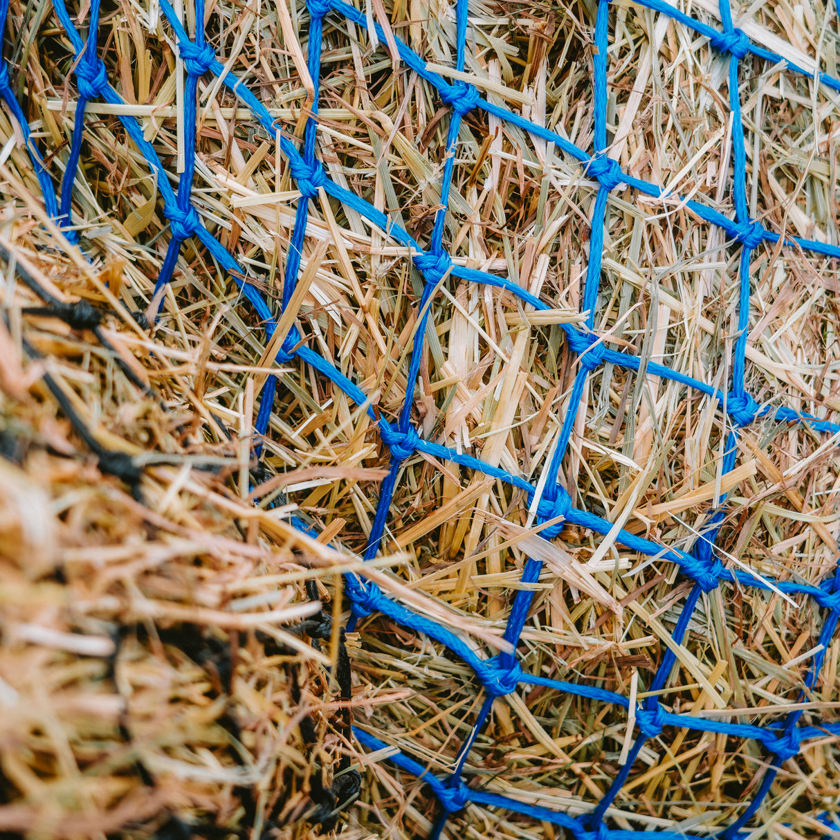 GS 승마 Haynet Deluxe 40 "