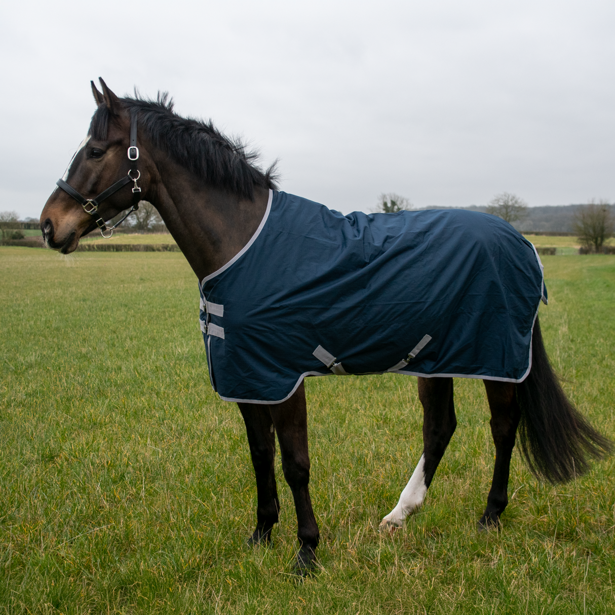 Couverture de participation imperméable GS Equestrian 600D 100 g