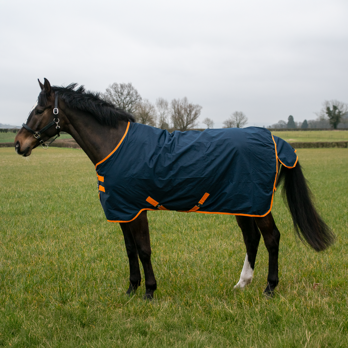 Couverture de participation imperméable GS Equestrian 600D 100 g