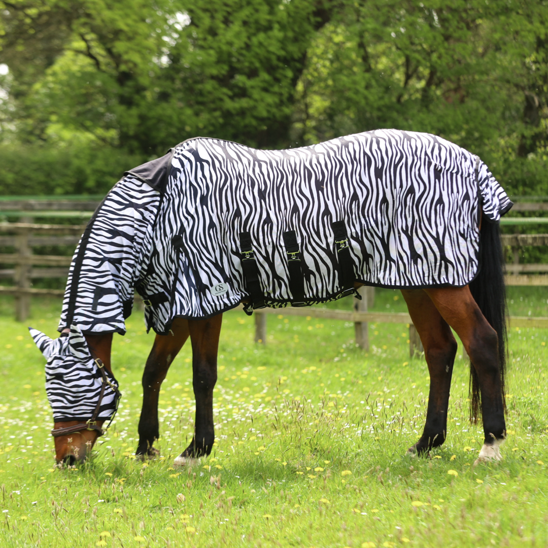 GS Equestrian Zebra Print Combo Neck Fly Rug