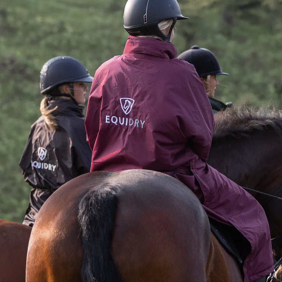 EQUIDRY Women's Thin Fleece Evolution #colour_plum-plum