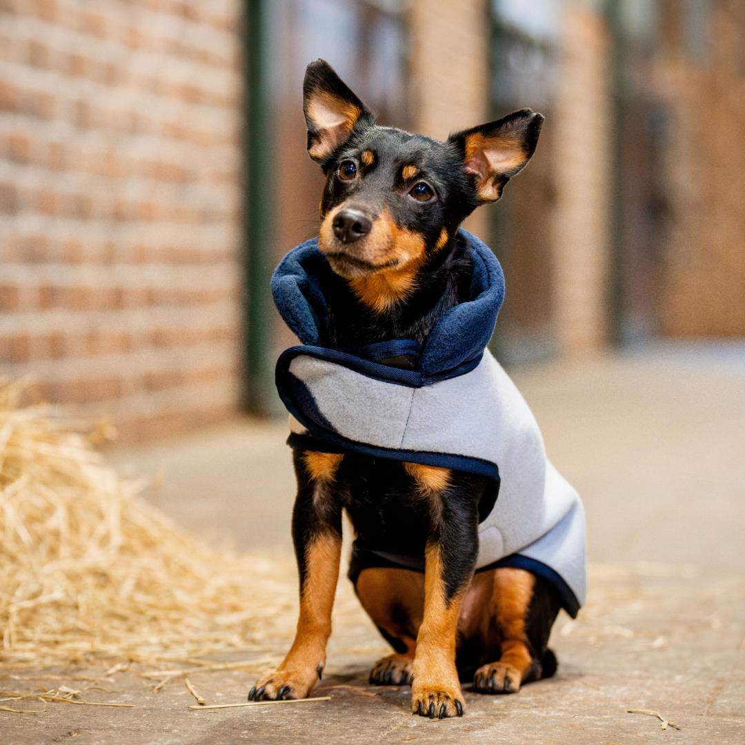 Horseware Ireland Signature Dog Fleece #colour_whitney-navy