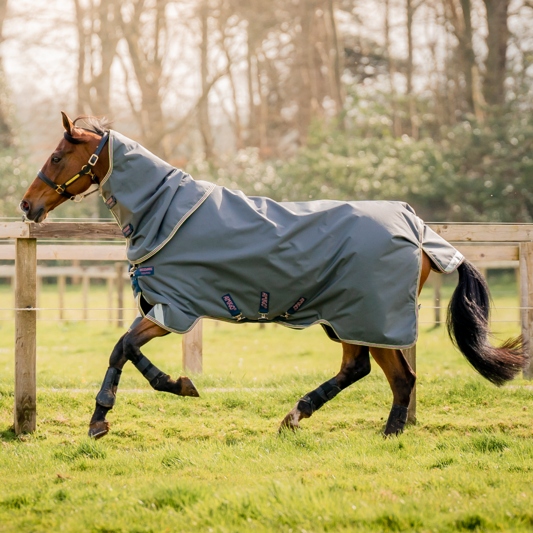 Horseware Ireland Amigo Bravo 12 Plus 0g Lite Turnout Rug #colour_shadow-navy-rose