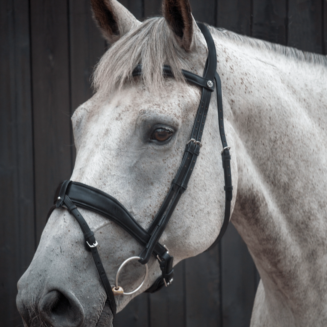 Henry James Dressage Bridle #colour_black