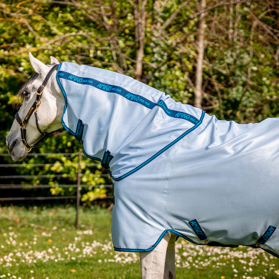 Horseware Ireland Amigo Bug Rug #colour_azure-blue-navy-electric-blue