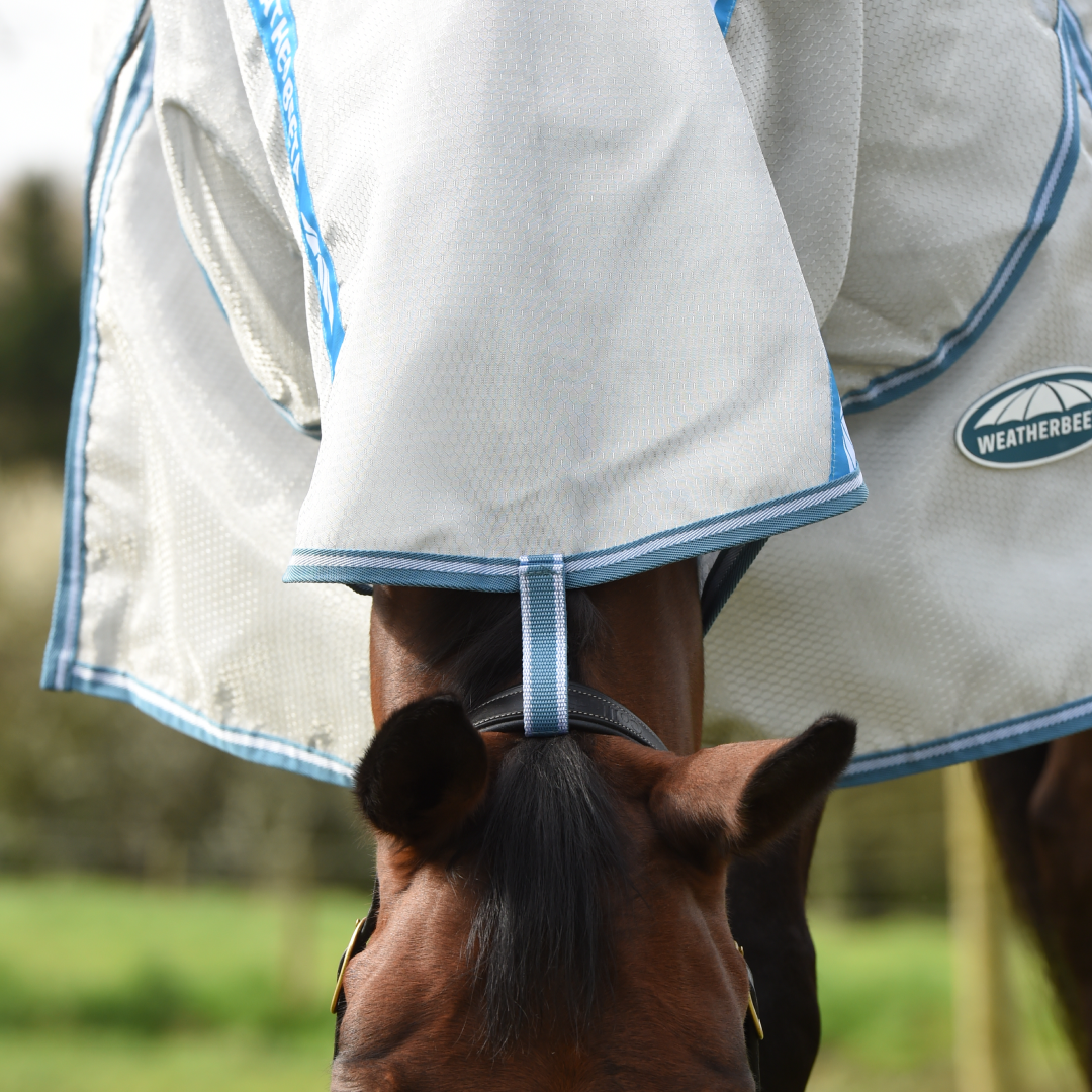 Weatherbeeta Comfitec Hexi Shield Combo Hals