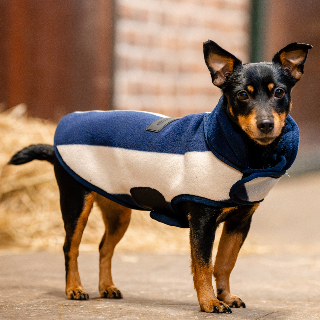 Horseware Ireland Signature Dog Fleece #colour_whitney-navy