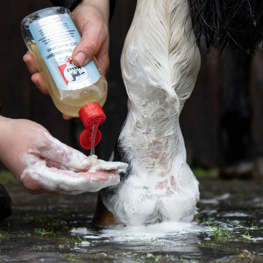 Leovet First Aid MED Wash Lotion