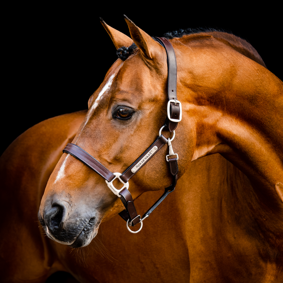Horseware Ireland Signature Leather Headcollar #colour_brown