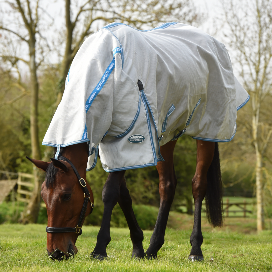 Weatherbeeta Comfitec Hexi Shield Combo Hals