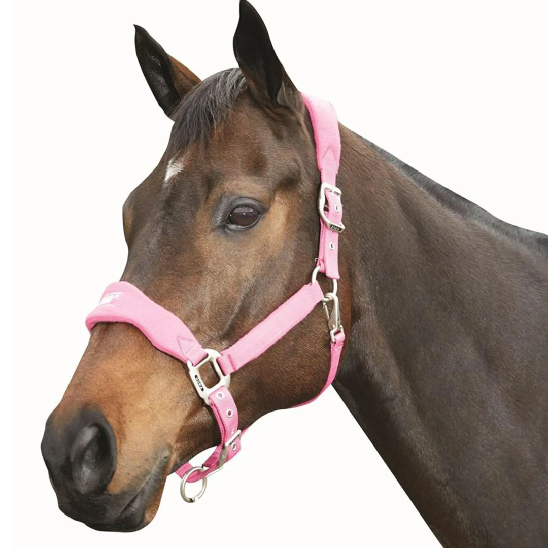 Roma Fleece Shaped Headcollar #colour_berry
