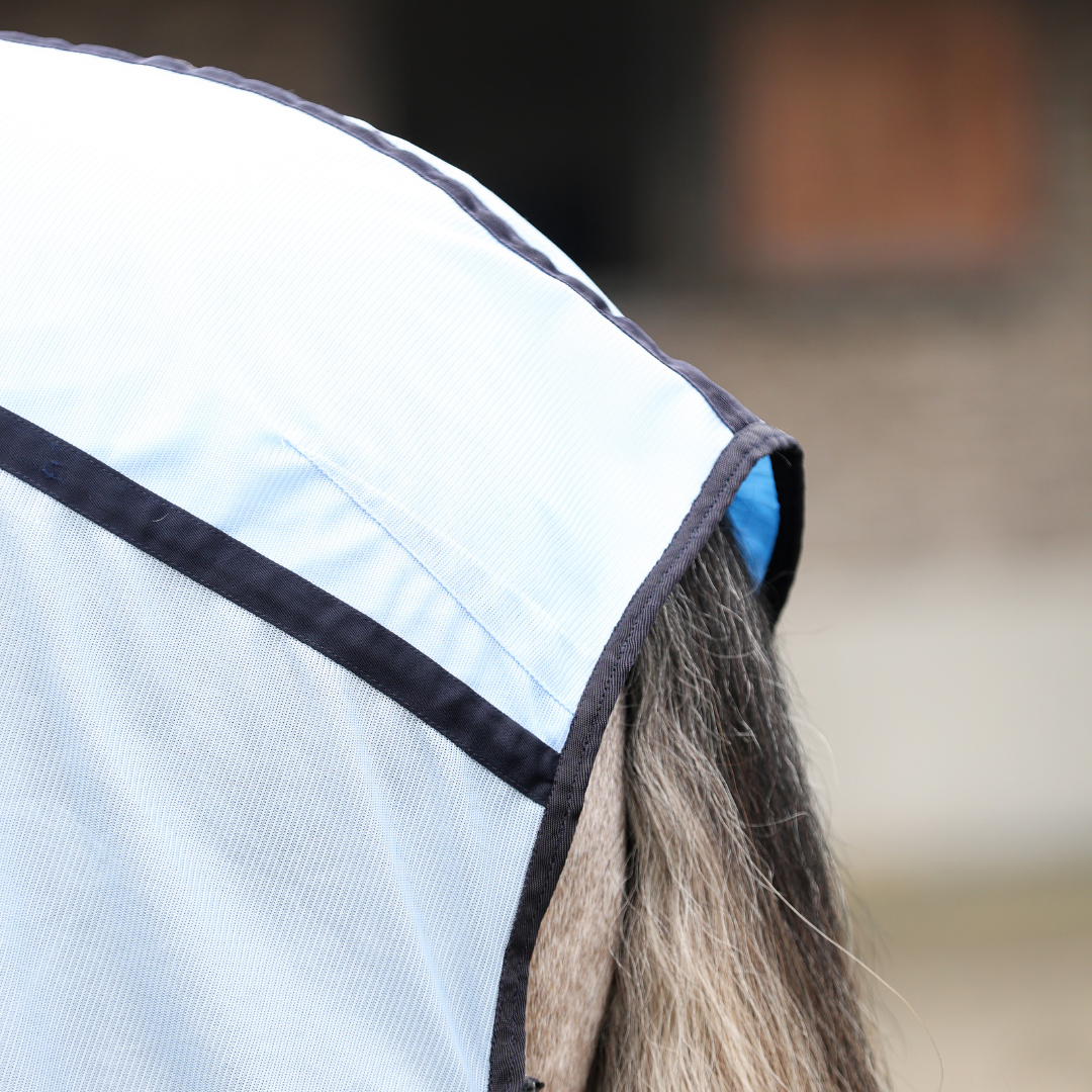 Equilibrium Quick Chill Rug