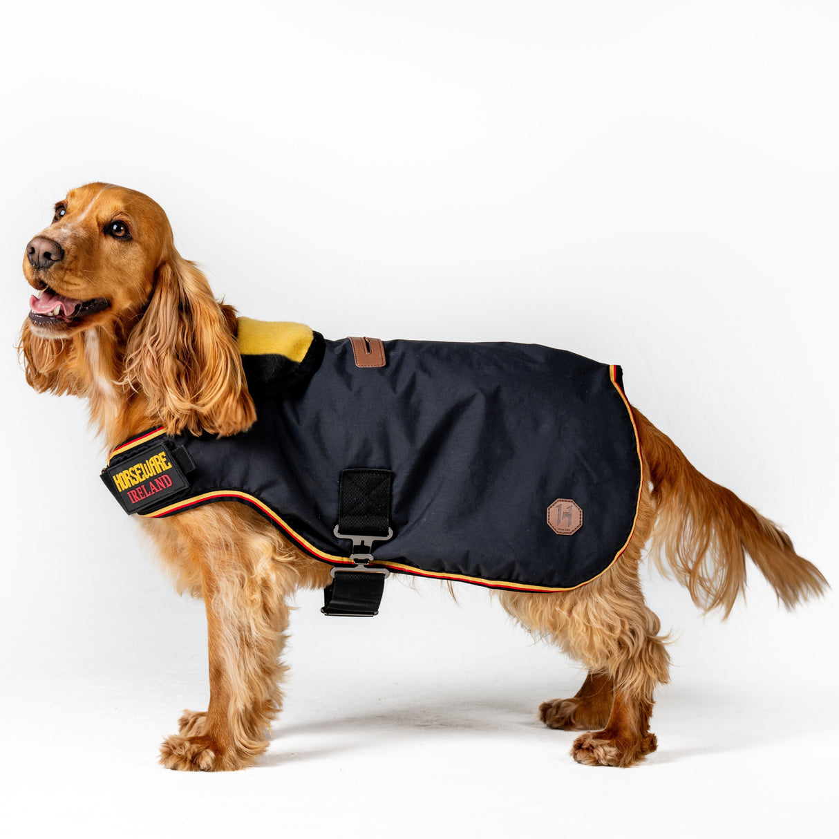 Horseware Ireland Newmarket Dog Coat #colour_witney-gold
