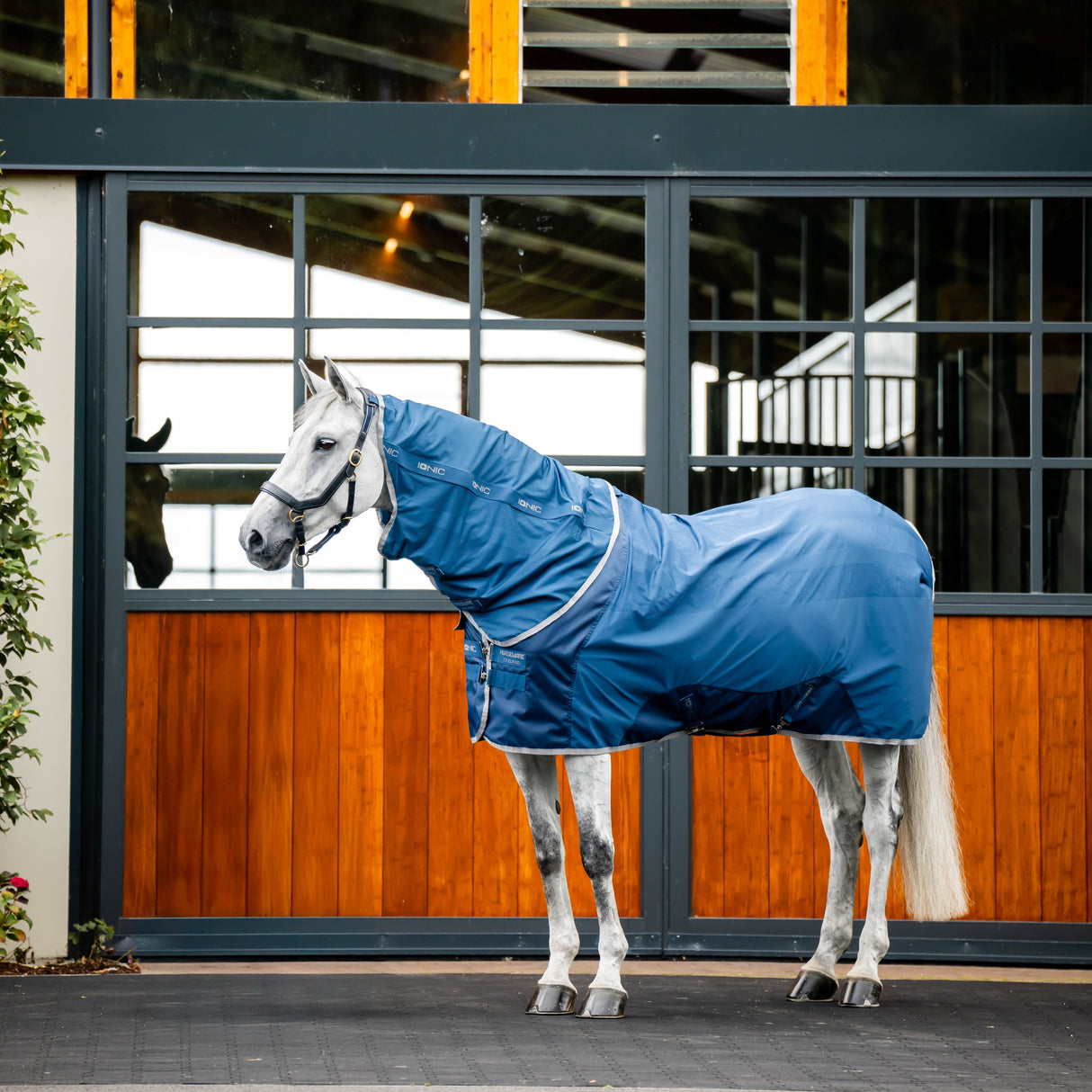 Horseware Ireland Ionic Therapy Mesh Cooler #colour_imperial-blue-silver-navy