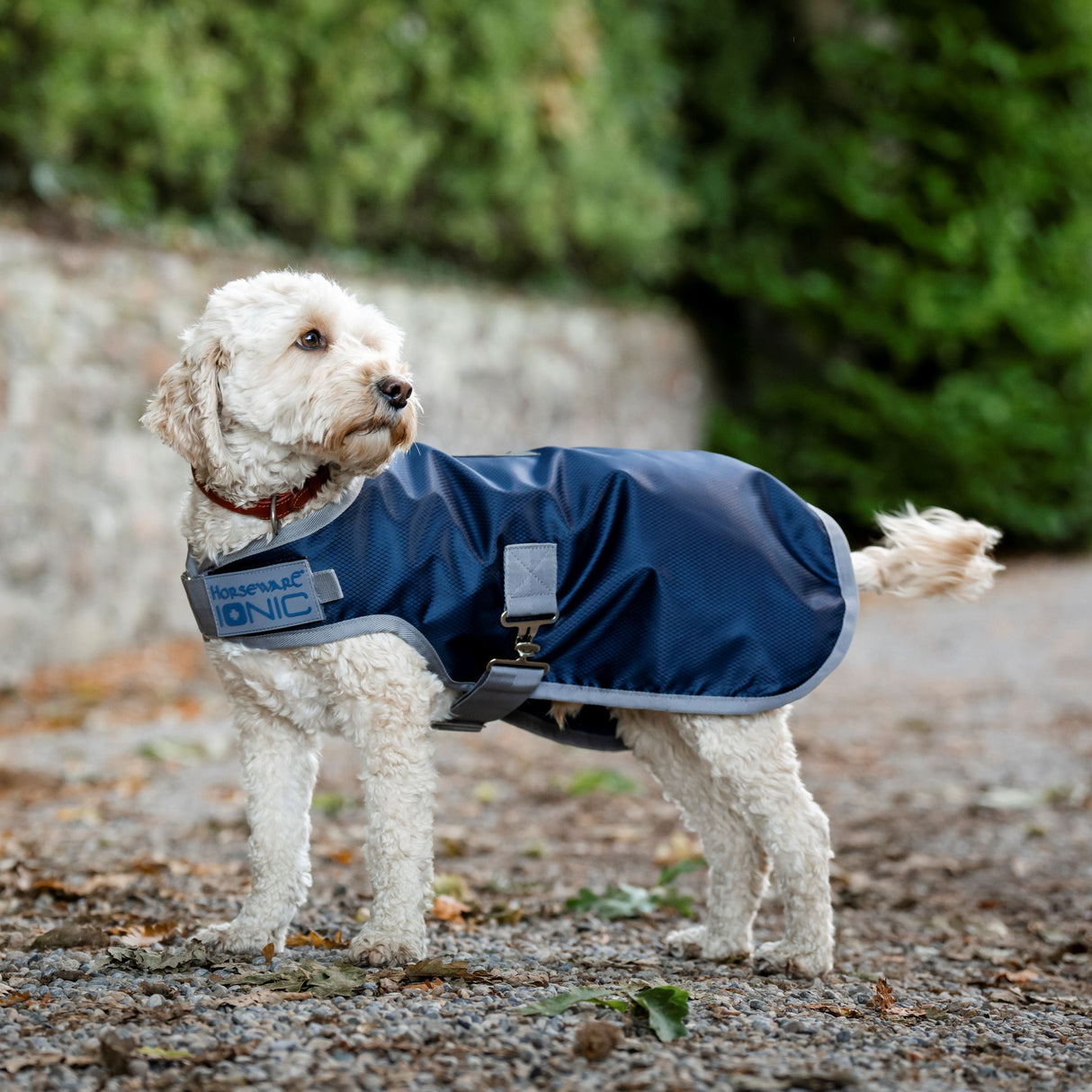 Horseware Ireland Ionic 50g Therapy Dog Coat #colour_imperial-blue-silver-navy