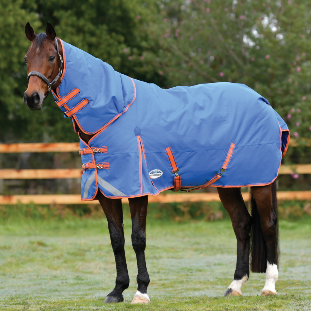 Weatherbeeta Comfitec Plus Dynamic II Detach-A-Neck Medium #colour_royal-blue-bright-orange