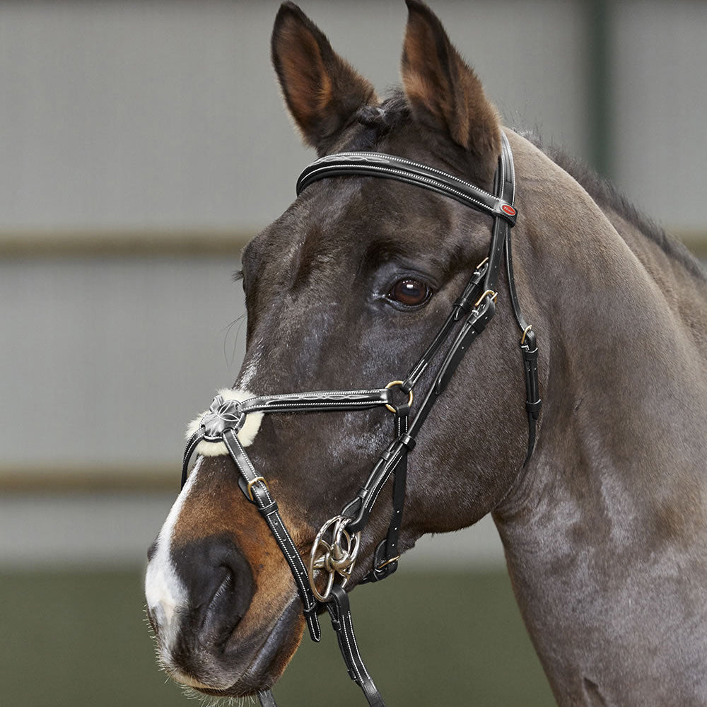 Whitaker Valencia Delux Mexican Bridle With Reins #colour_black