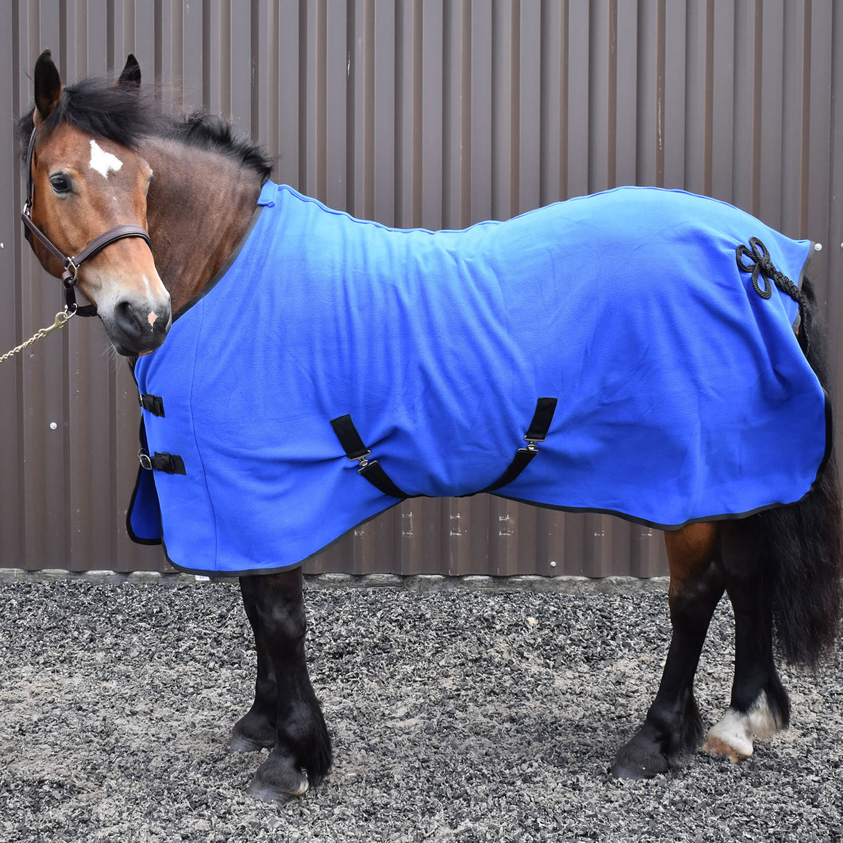 Whitaker Bilbao Bonded Fleece Rug #colour_royal-blue-navy