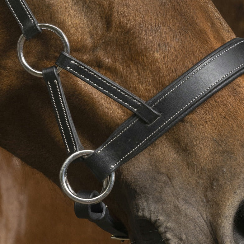 Norton Pro Confort Side-Pull