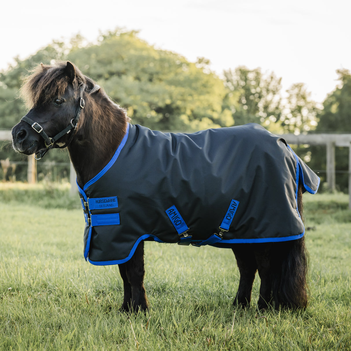 Horseware Ireland Amigo Ripstop 900D Petite 200g Turnout Rug