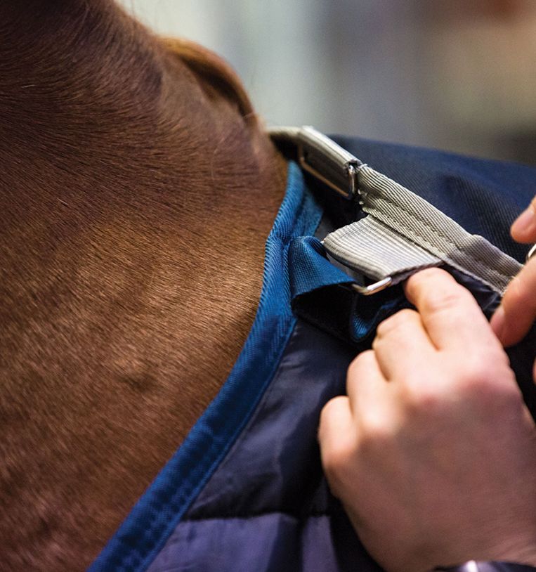 Horseware Ireland Liner 200g