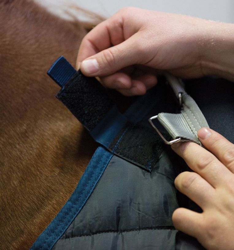 Horseware Ireland Horseware Liner Lourd 300g